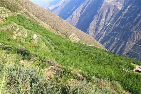 微信图片_20240904184014