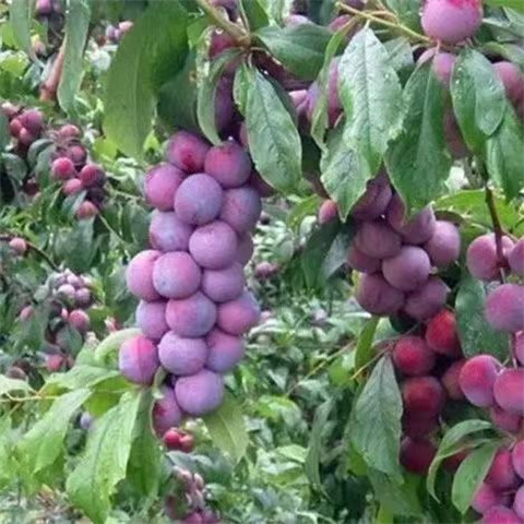 微信图片_20240904184006