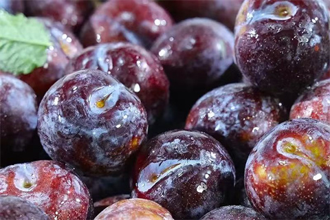 微信图片_20240904183953