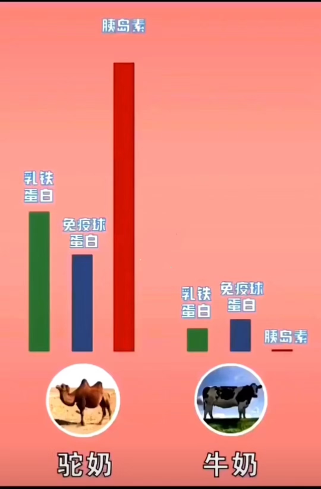 微信图片_20240909213726