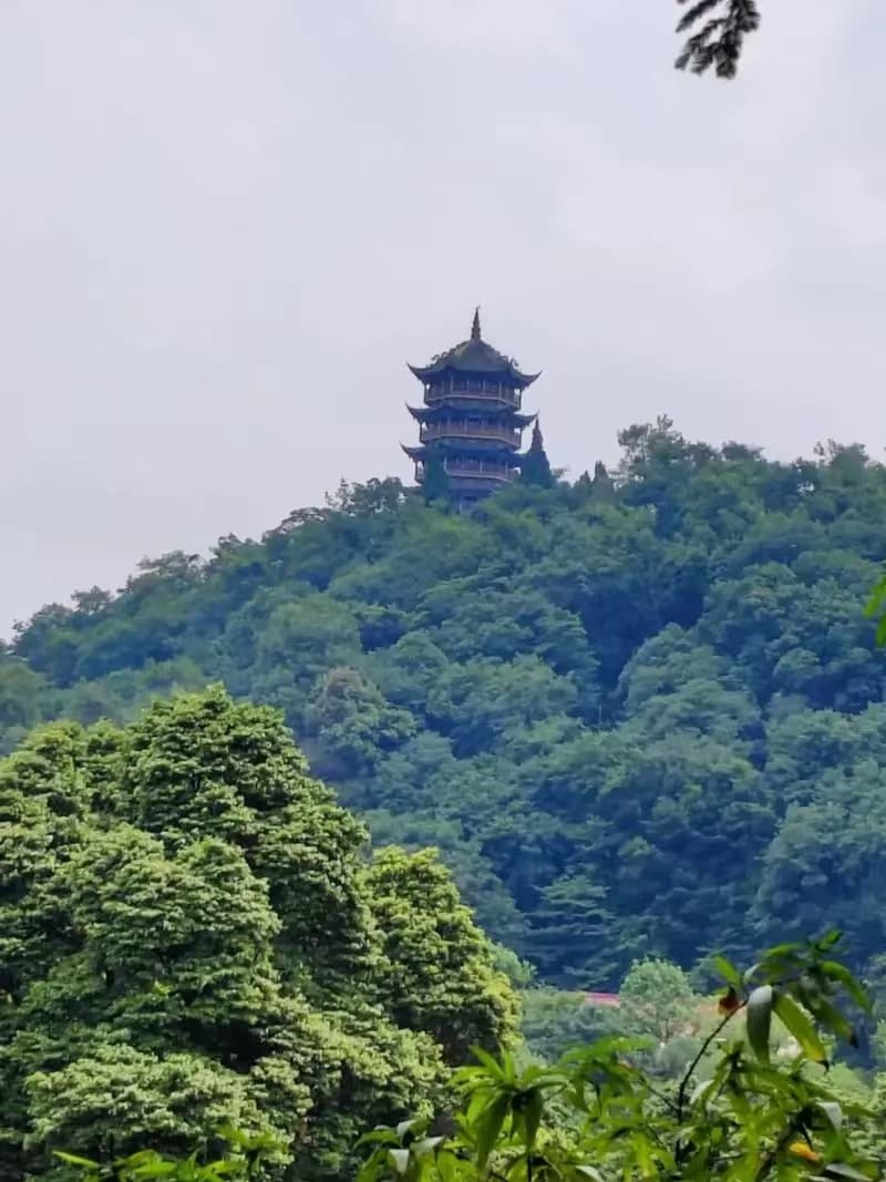微信图片_20241012223748