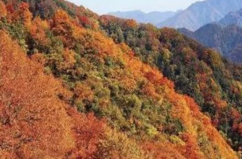 微信图片_20241024142334