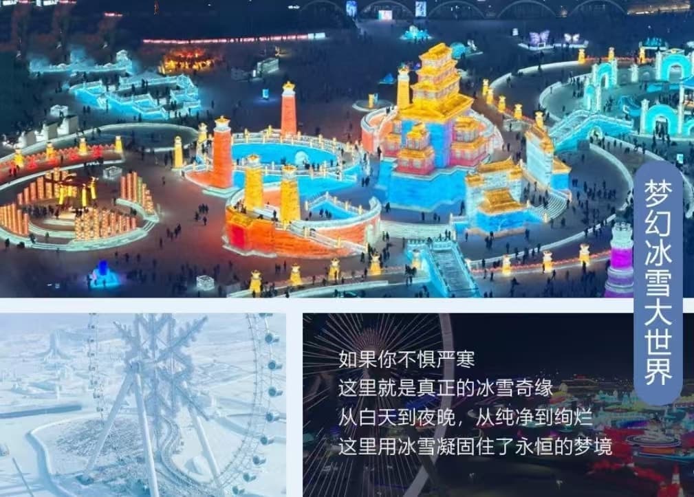 微信图片_20241024222521