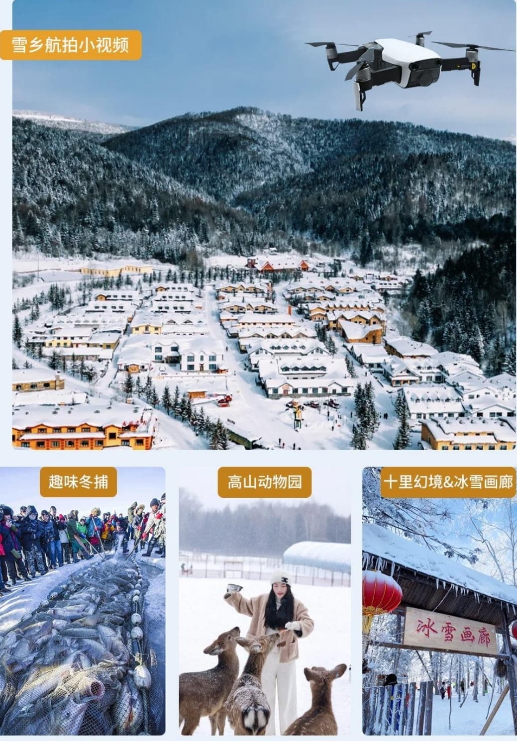 微信图片_20241024222537