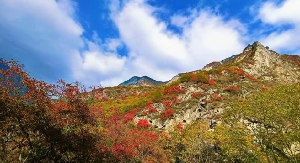 微信图片_20241024211119