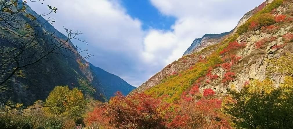 微信图片_20241024211114