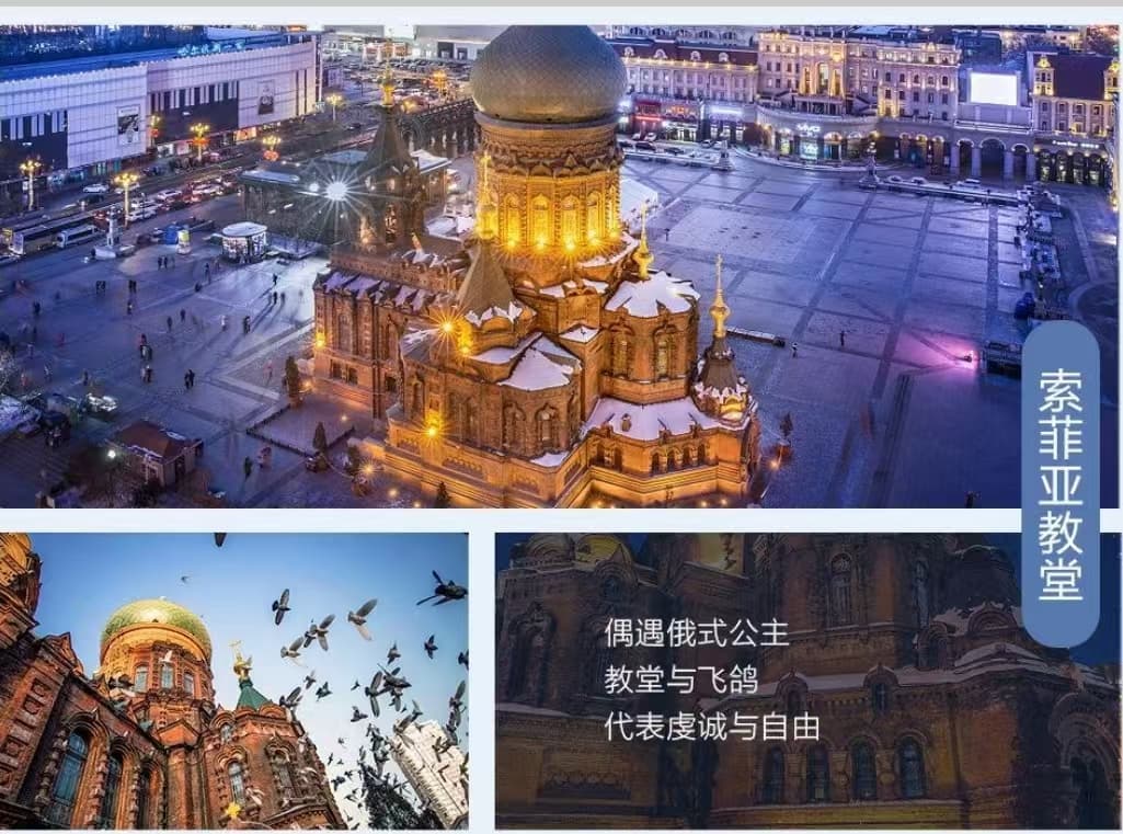 微信图片_20241024223346