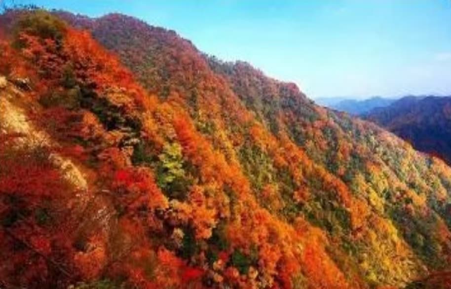 微信图片_20241024142331