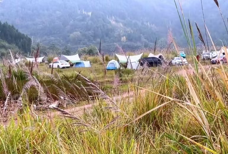 微信图片_20241103173920