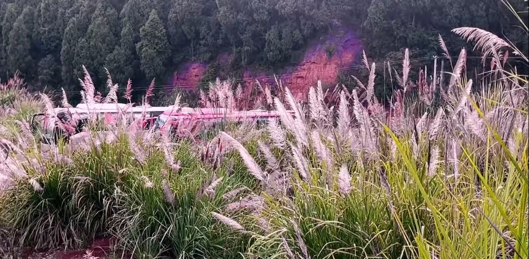 微信图片_20241103173907