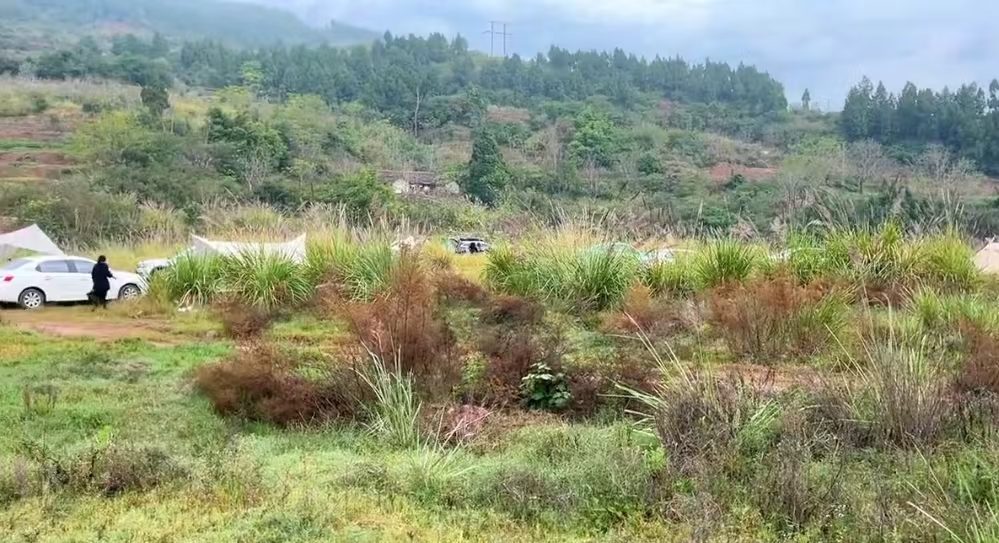 微信图片_20241103173914