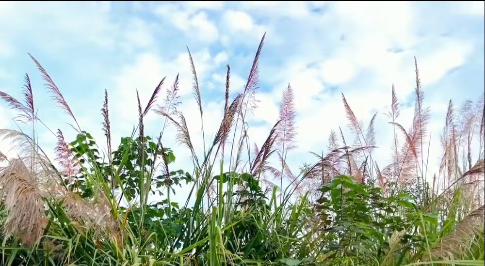 微信图片_20241103173917