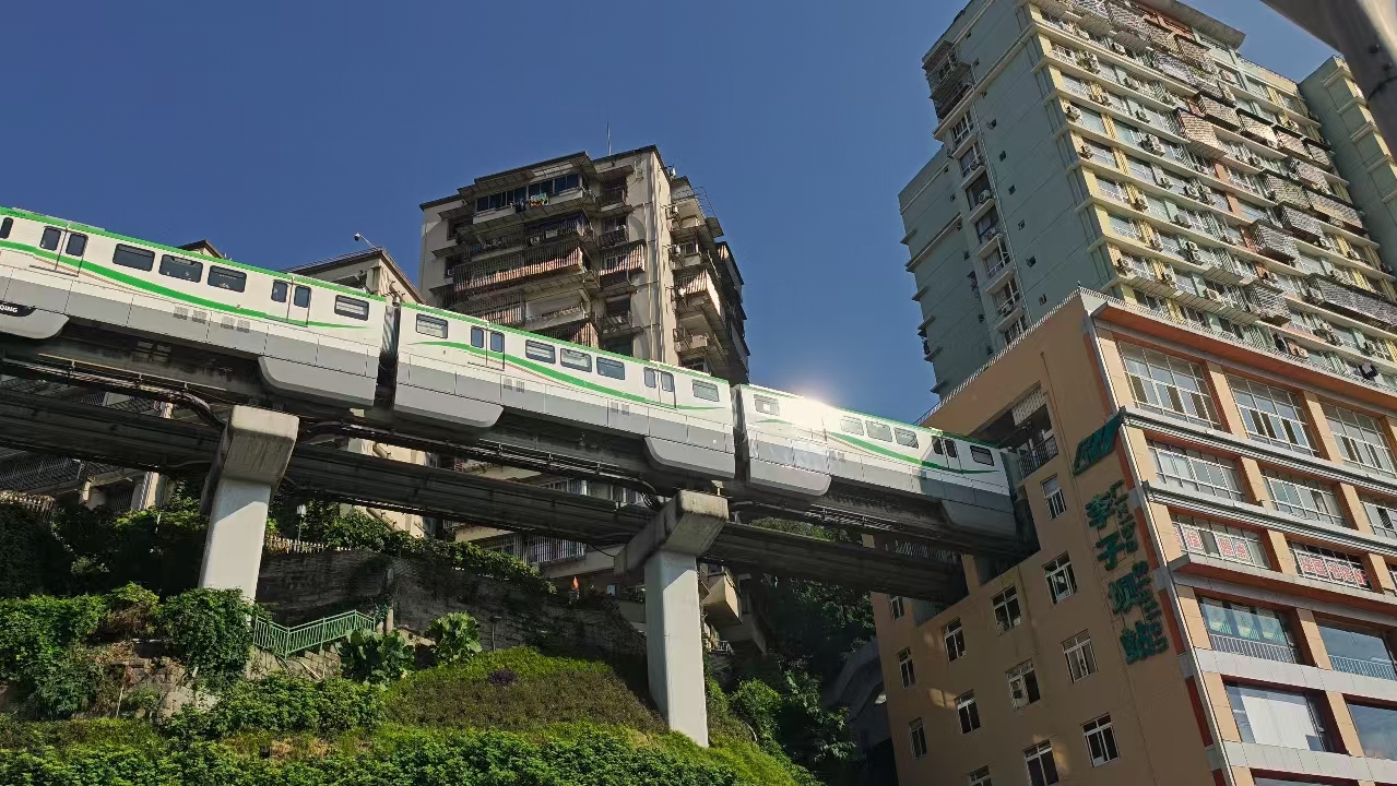 微信图片_20241114163105