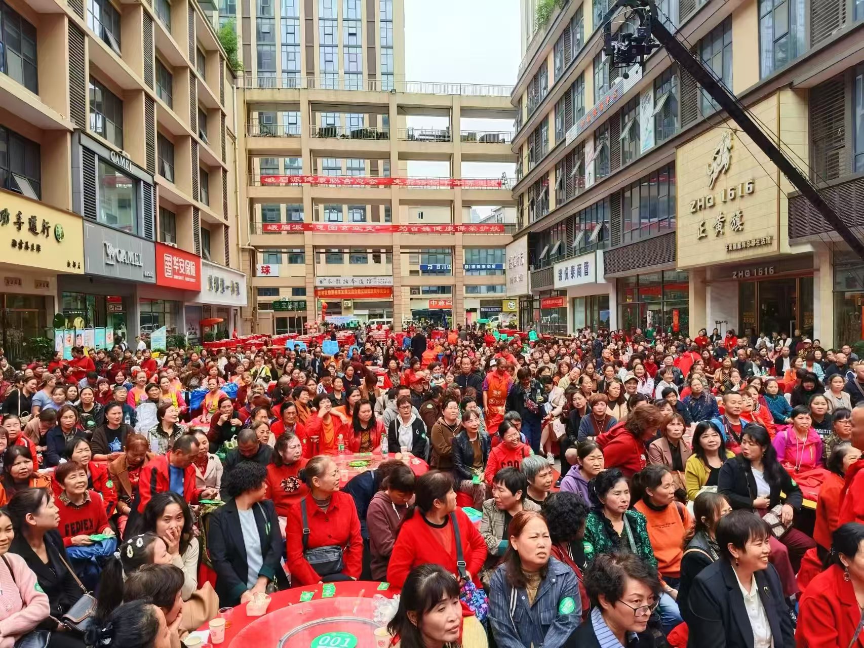 微信图片_20241120224322