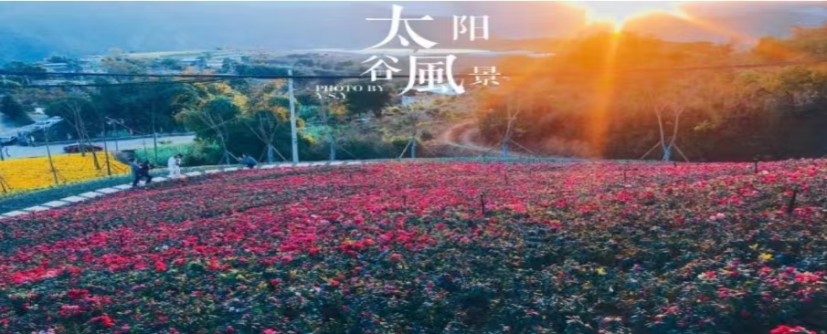 微信图片_20241127215444