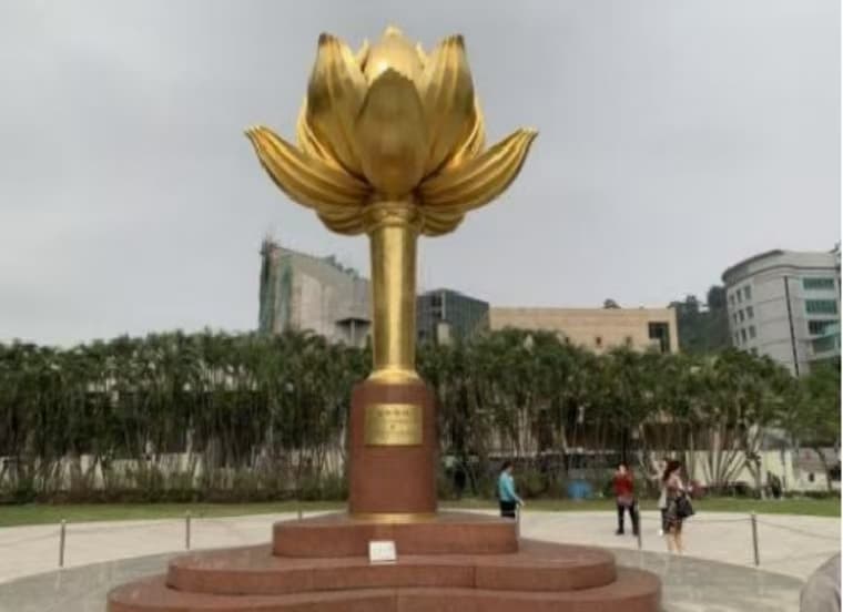 微信图片_20250115213804
