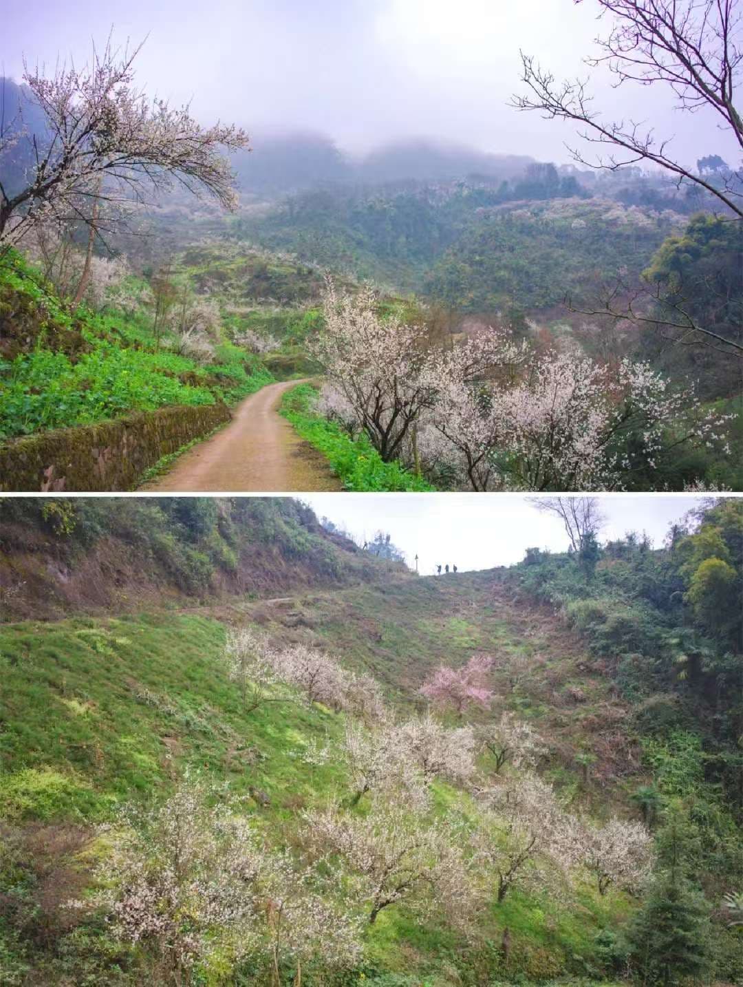 微信图片_20250209214630