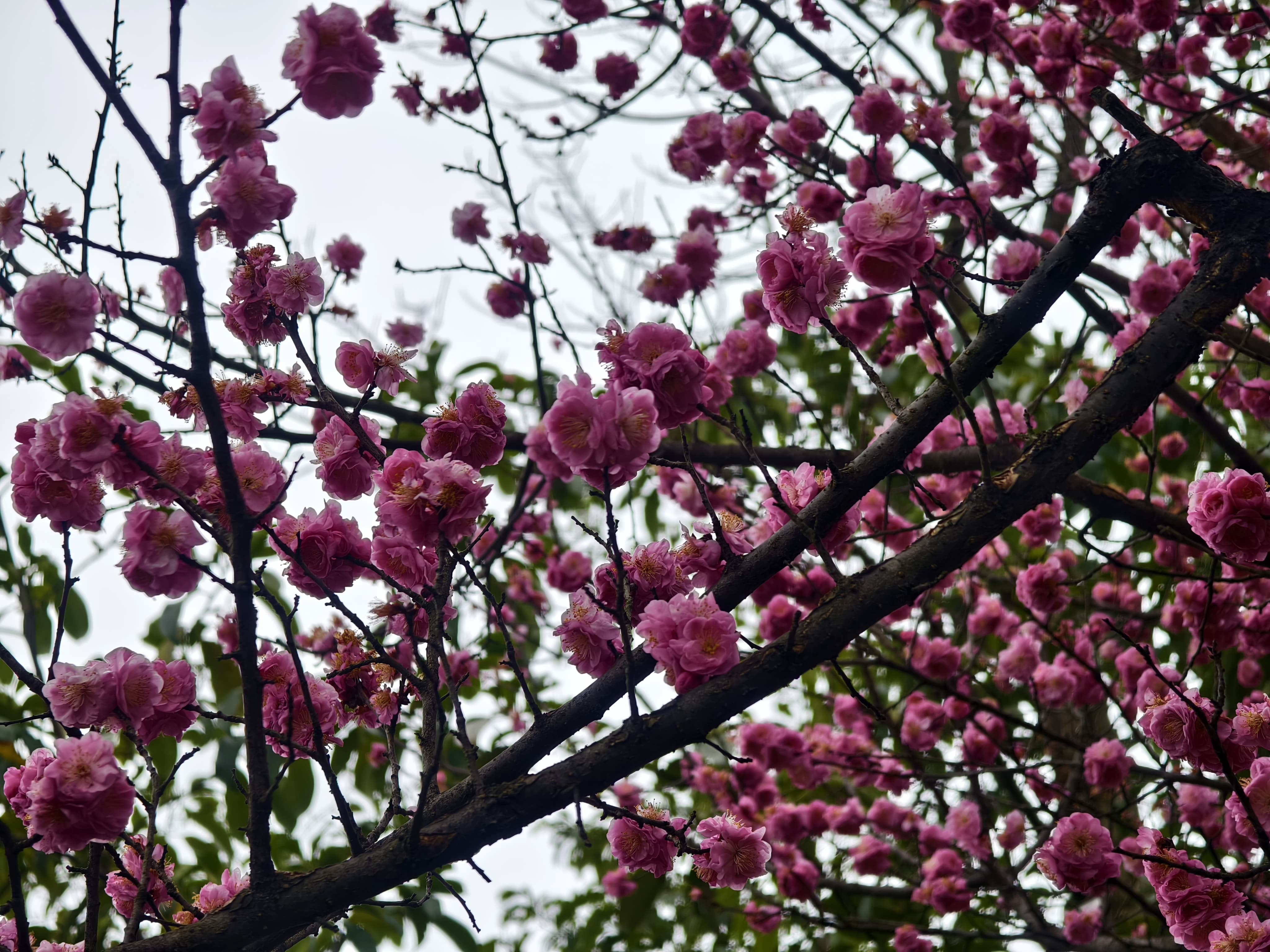 微信图片_20250209214658