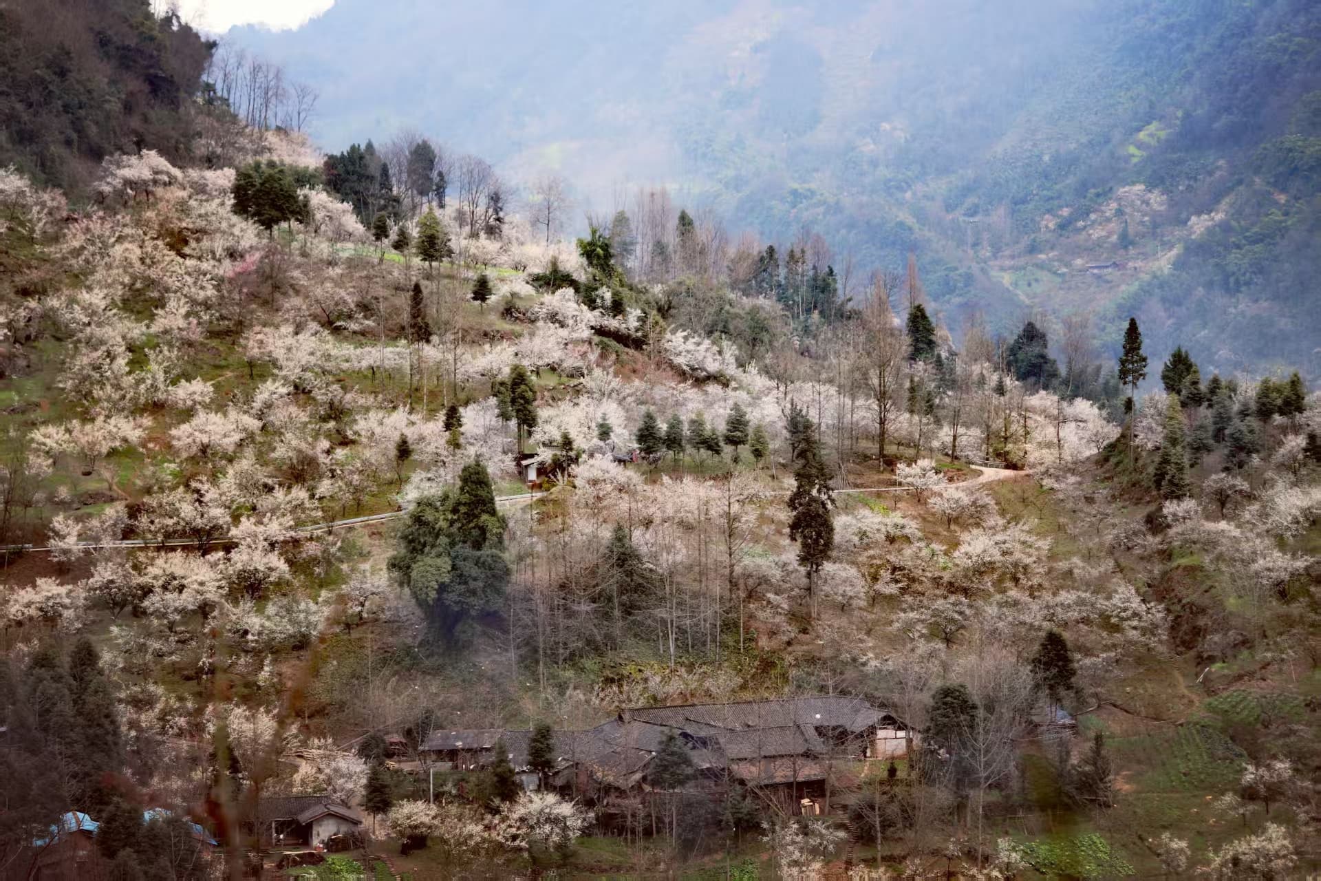 微信图片_20250209214644