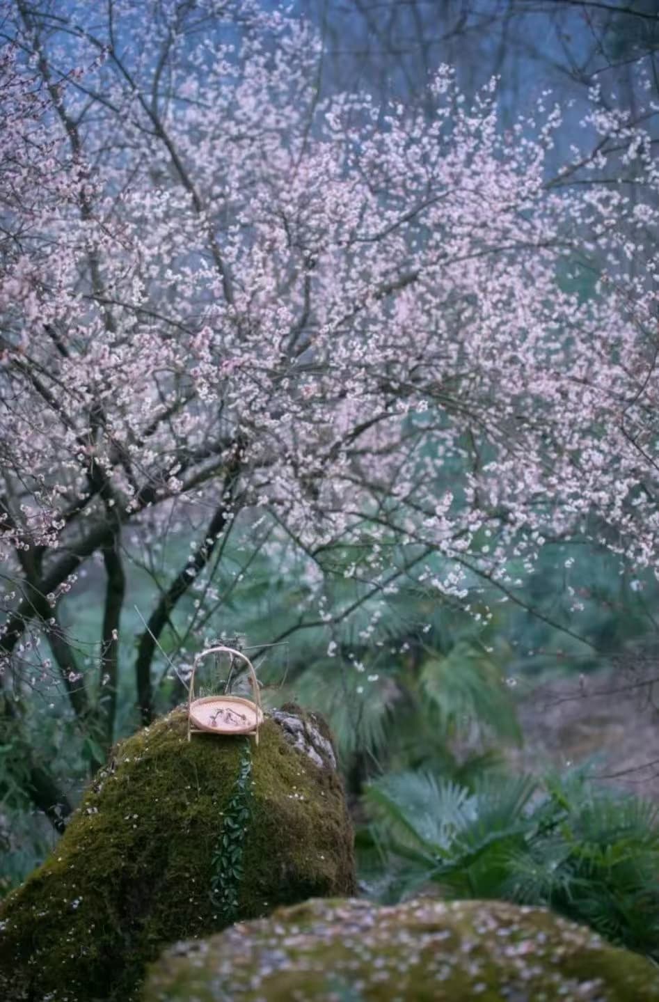 微信图片_20250209214636