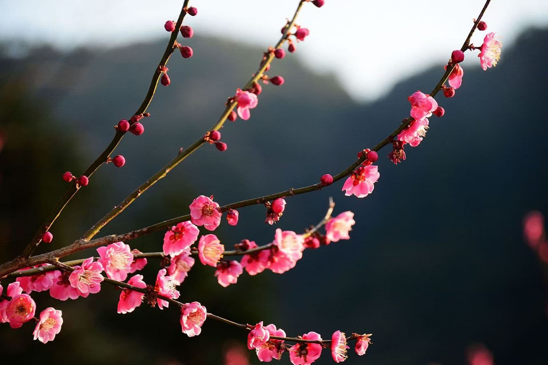 微信图片_20250209214702