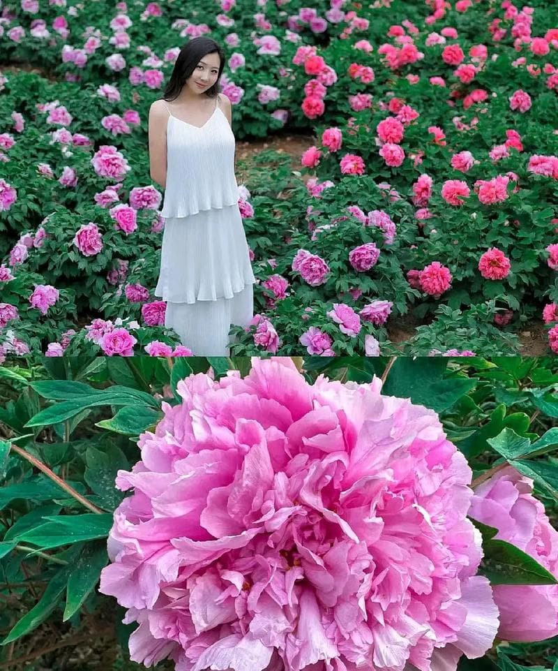 微信图片_20250421210744