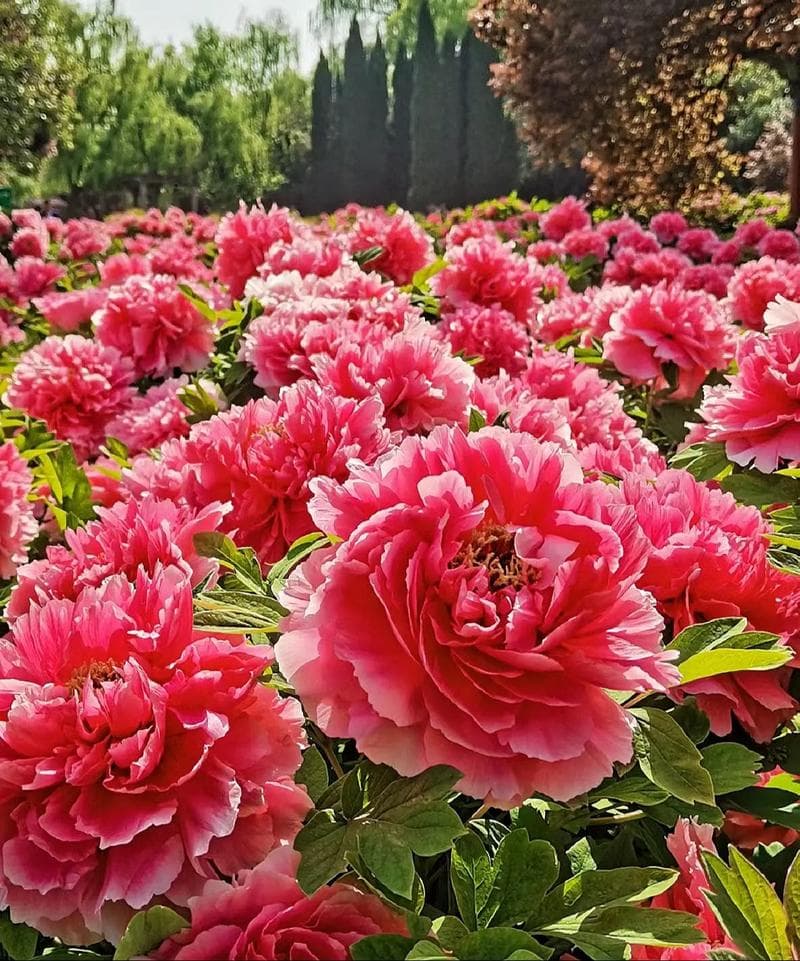 微信图片_20250421210747