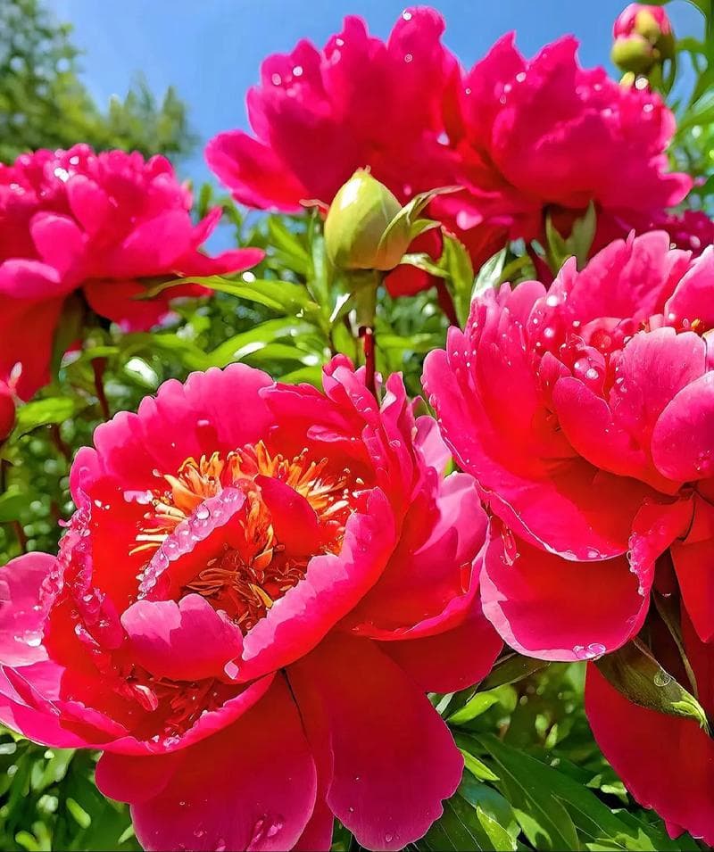 微信图片_20250421210741