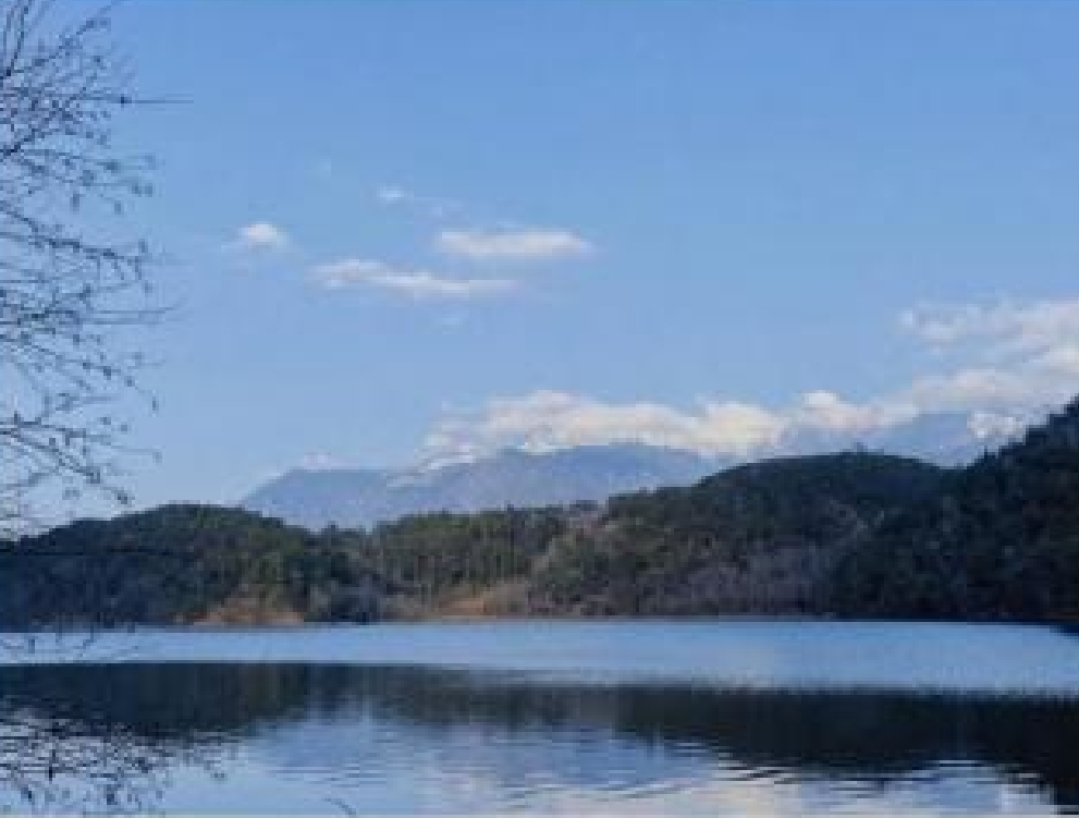 微信图片_20250423221416