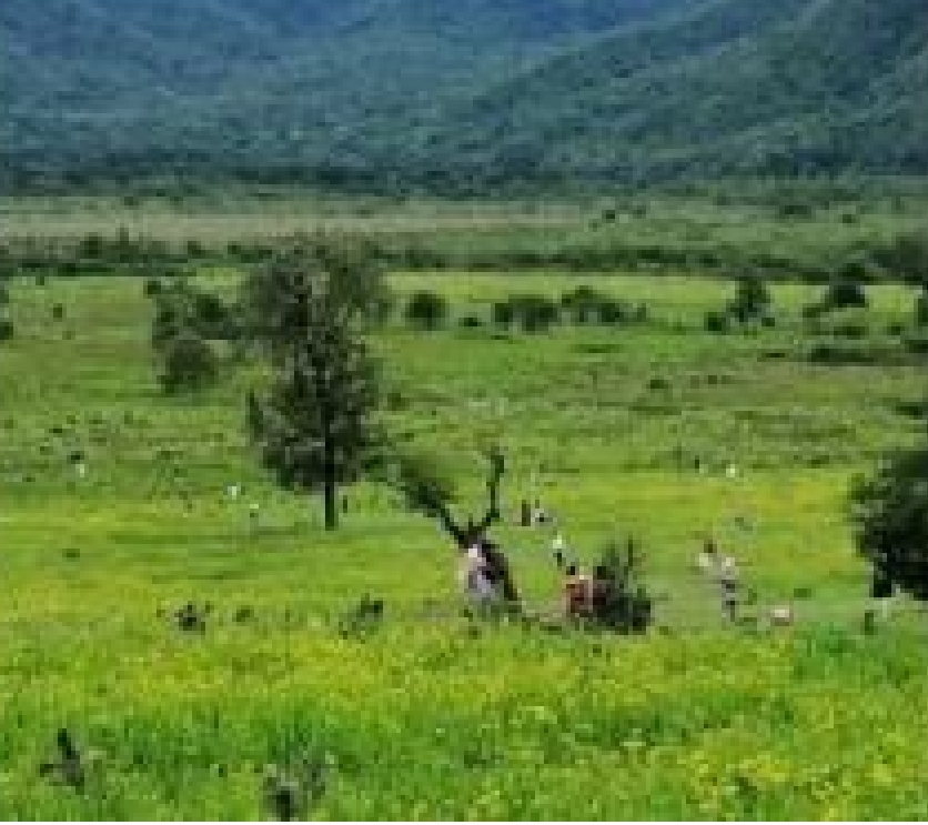 微信图片_20250423221440