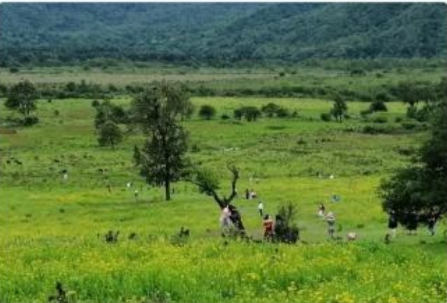 微信图片_20250423221409