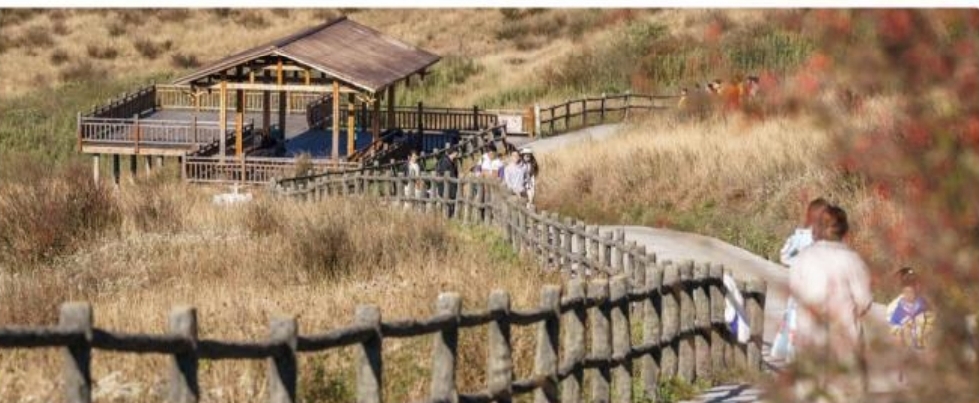 微信图片_20250423221412