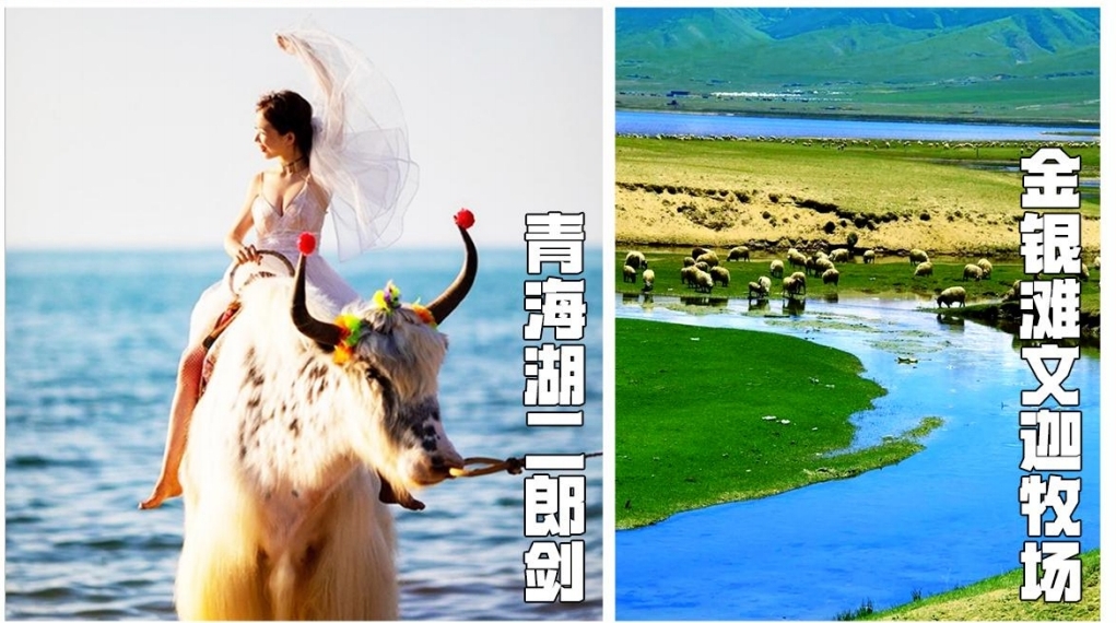 微信图片_20250424114806