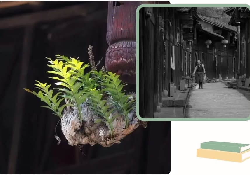 微信图片_20251107170243_254_1