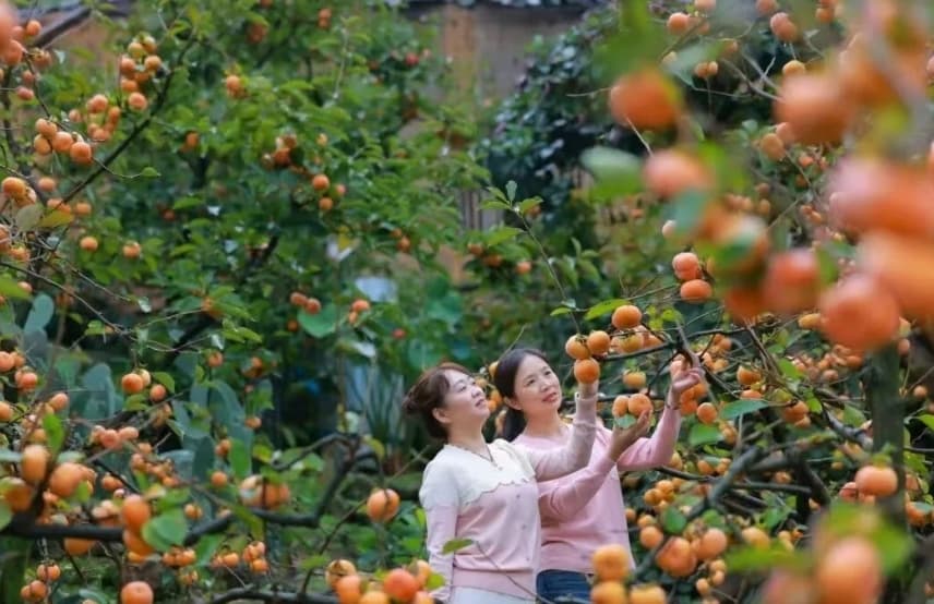 微信图片_20251107170236_249_1