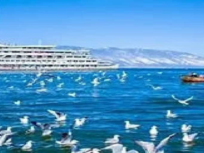 微信图片_20251109222445_271_1