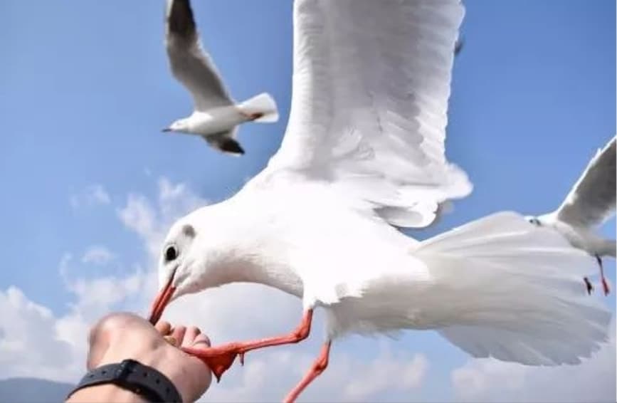 微信图片_20251206171539_596_1