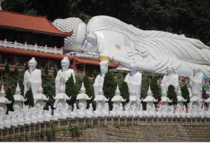 微信图片_20251206165337_588_1