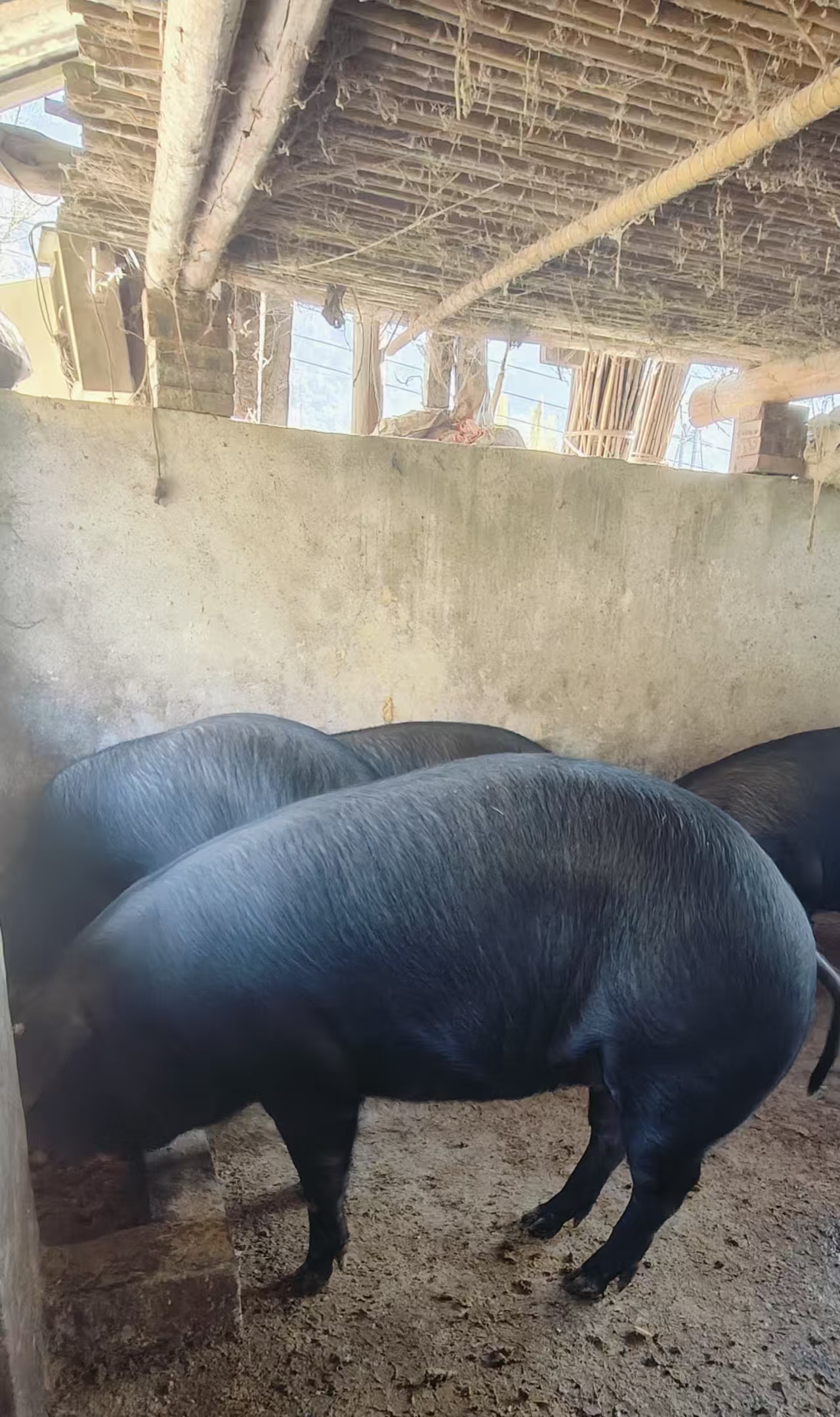 微信图片_20251128161458_535_1