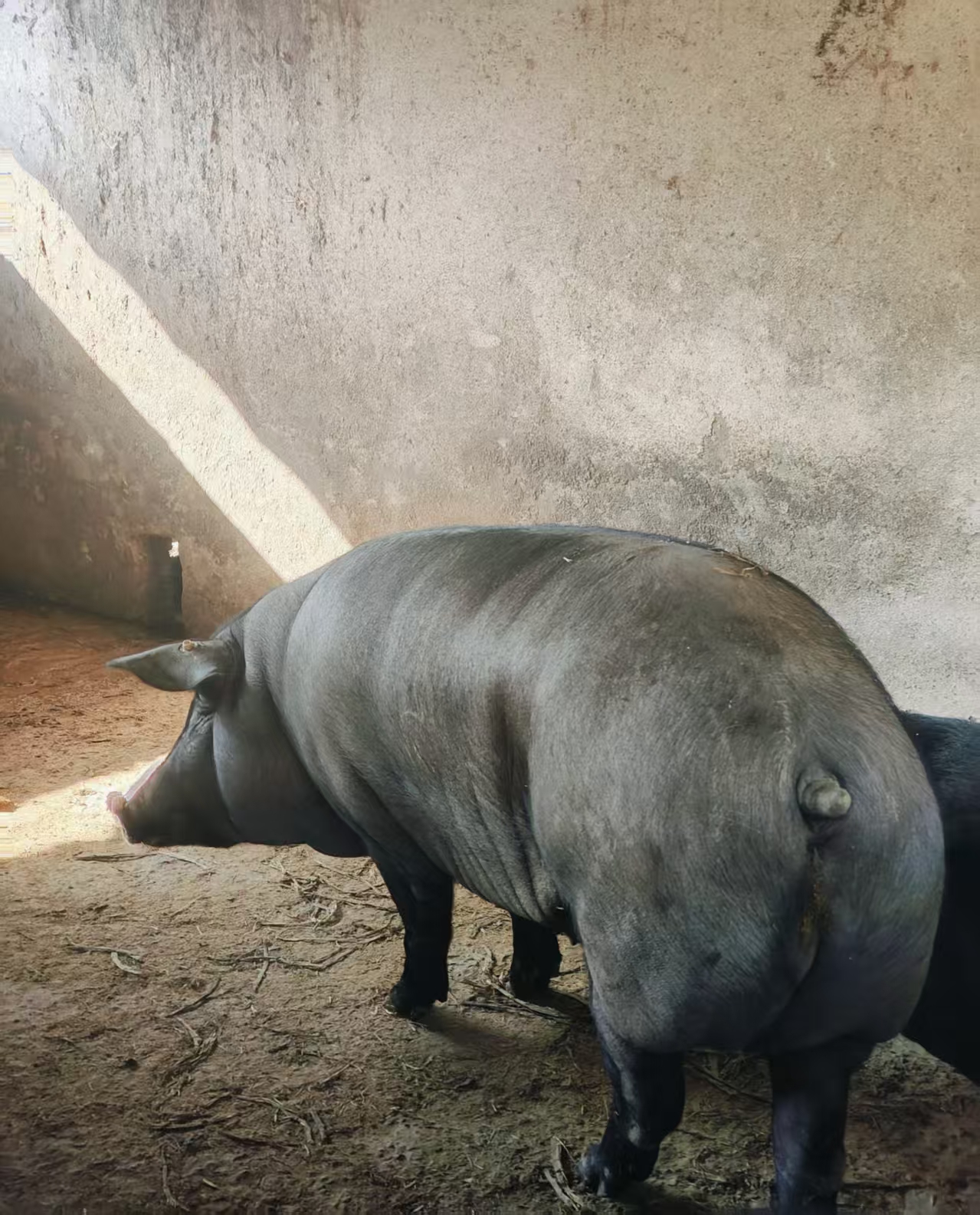 微信图片_20251128161455_534_1