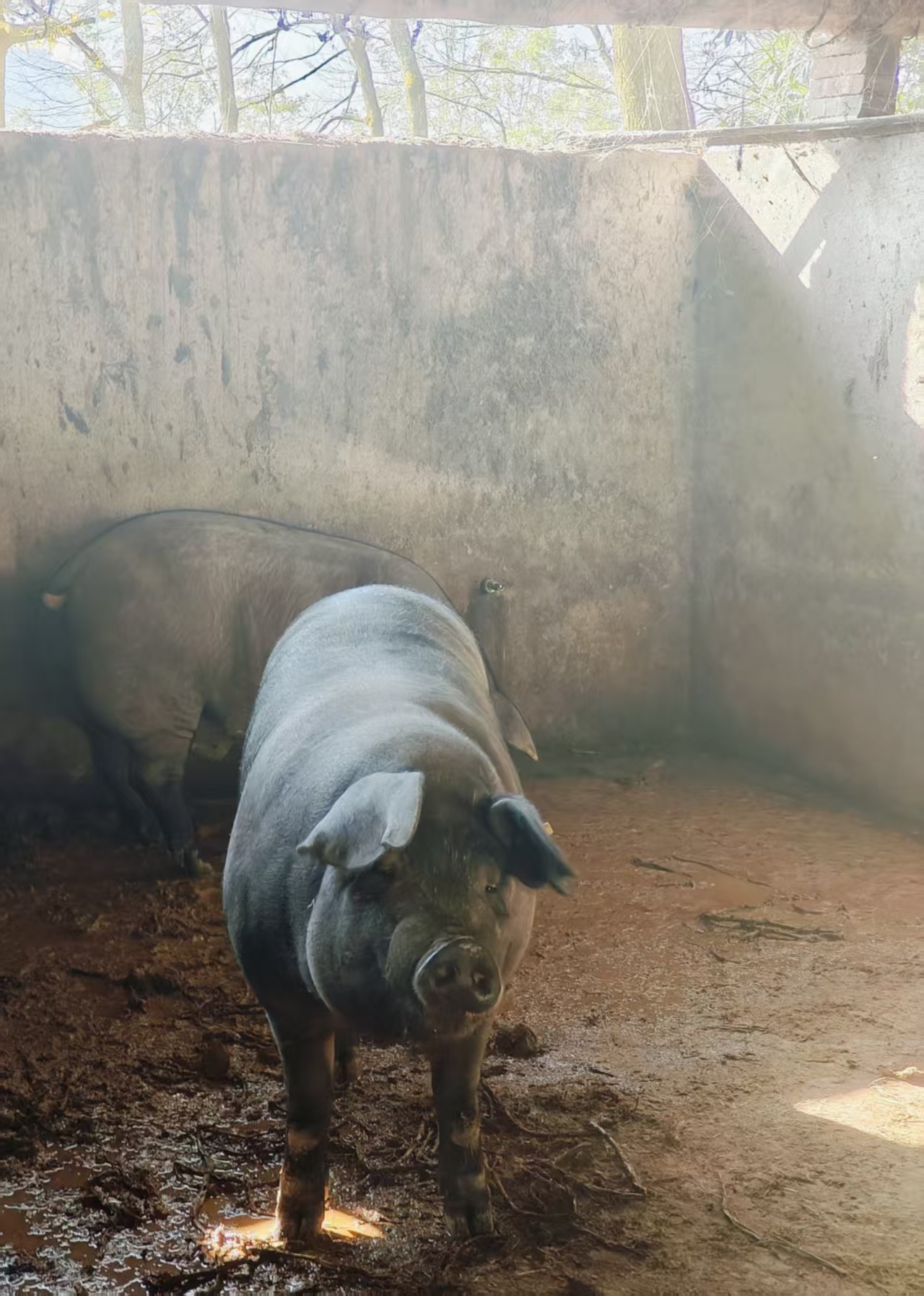 微信图片_20251128161452_533_1