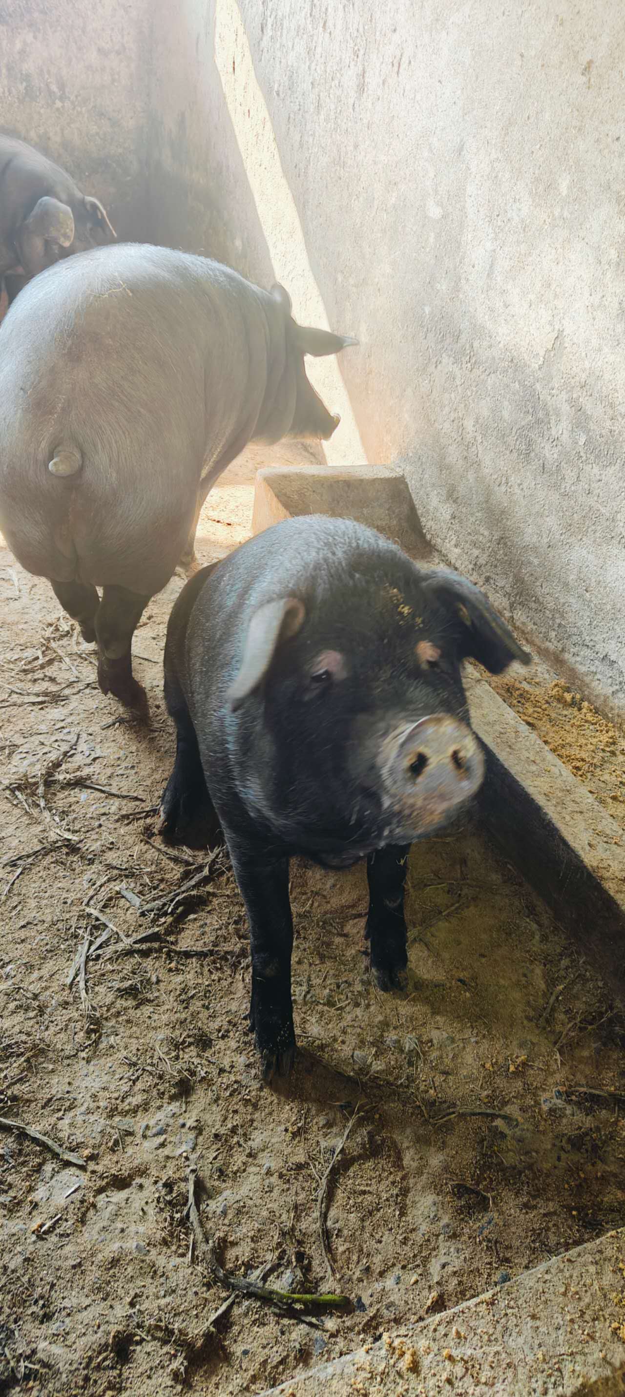 微信图片_20251128161501_536_1