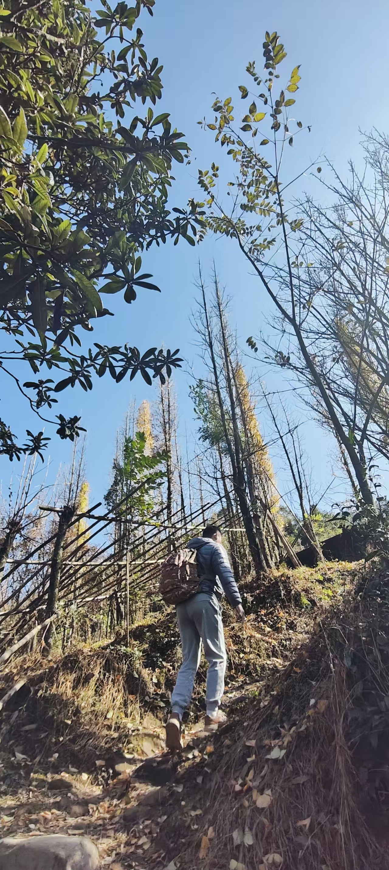 微信图片_20251128161505_537_1