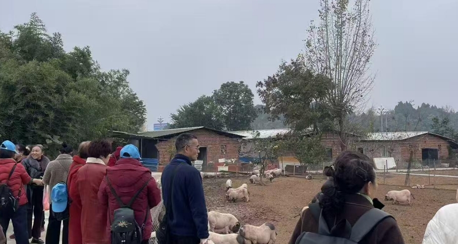 微信图片_20251222162943_695_1