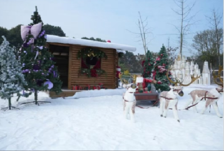 微信图片_20251227142042_715_1