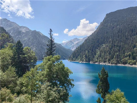 0d1b12c5ace5540095e03da5be6fb4a6