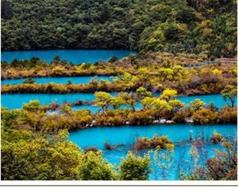 481d803652cea7346090ee6f16707654