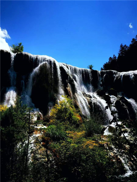 f72afccd7ef69798690a3017b29359bc