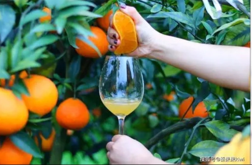 微信图片_20260114164326_944_1