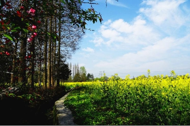 微信图片_20260114164330_947_1